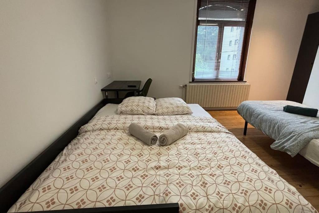 Grande Maison 17 Personnes Arras Dış mekan fotoğraf